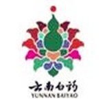 云南白药控股有限公司